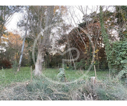 Imagen 7 de 8 de Lote De Terreno En Brandsen Proximo Al Centro