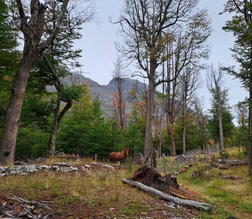Conectividad En Invierno Y Agüa De Arroyo (85176)