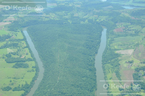 Imagen 25 de 30 de Grandes Extensiones De Bosque Nativo En Misiones - Bonos Verdes- Ideal Conservacionistas