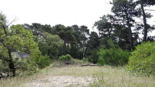 Imagen 9 de 15 de Lote De 1000 M2 A 250 Mts. Del Mar - Mar De Las Pampas | Cod.0352 |