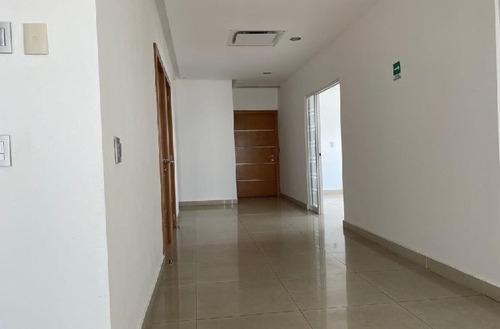 Imagen 7 de 10 de Oficina En Renta Torre Sur Penthouse