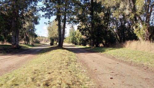 Imagen 9 de 18 de Lote En Venta En El Redil Lago Moreno Este, Bariloche