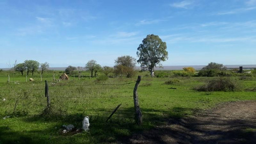 Imagen 5 de 17 de Lotes Linderos A Las Termas, Excelente Vista Al Rio