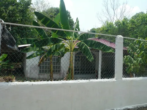 2 Casas, Calle Privada, Terreno 1,250 M2, 72 Y 36 M2 Centro
