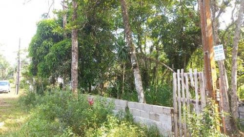 Imagem 2 de 5 de Chácara No Bairro Jardim Palmeiras, Em Itanhaém