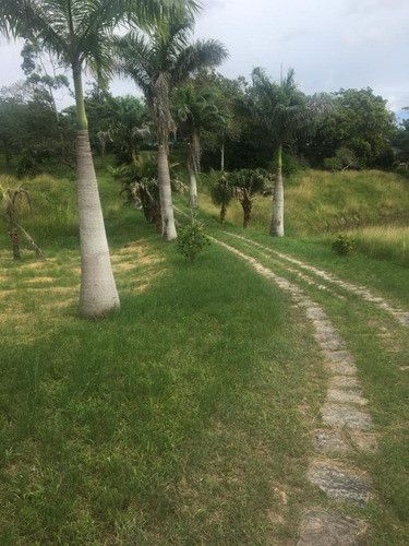 Imagem 1 de 20 de Qualidade De Vida Pra Você, Ótima Granja 06 Hec, Lazer Em Bonança, Aceito Imóvel/carro - Ch00022 - 68991934