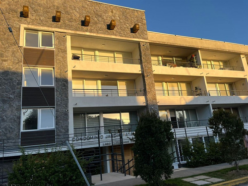 Depto. En Arriendo De 1 Dorm. En Calle Llanquihue P Varas