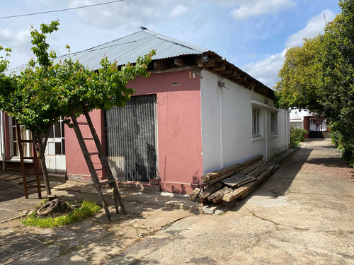 Cauquenes, Local Comercial, 976 M2 Terreno (86224)