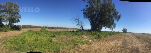 Imagen 2 de 11 de Campo En Martin Chico, Buena Tierra Productiva, Zona En Desarrollo