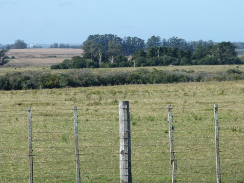 Chacra De 5 Hectareas Cercania A Punta Del Este, Lapataia