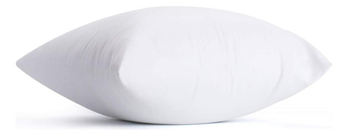 Rellenos De Almohada Cuadrados De 20 X 20 Pulgadas Blanco