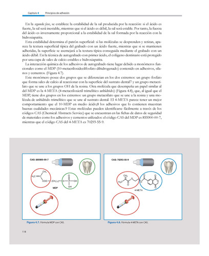 Cementación Adhesiva en Dientes Naturales Materiales y Técnicas de Giacomo Derchi Umberto Campaner Editorial Amolca Tapa Dura