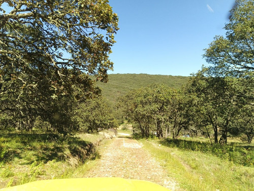 Terreno En Venta En Sierra De Lobos
