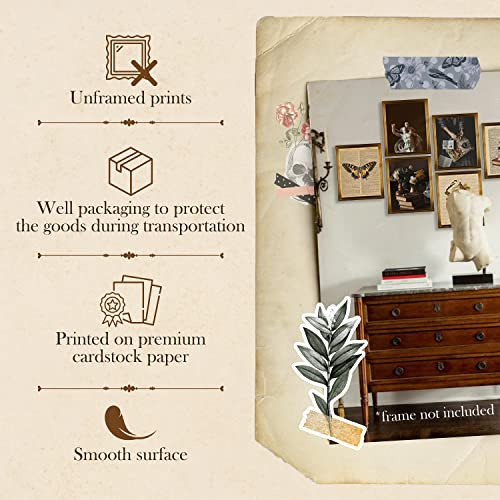 Decoración De Habitación De Estilo Dark Academia, Dec...