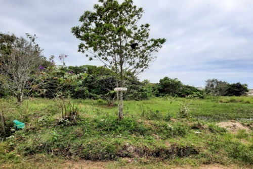 Imagem 4 de 12 de Terreno De 250 Metros Á Duas Quadras Do Mar Em Itanhaém No Litoral Sul De Sp