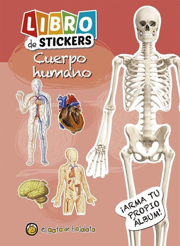 Libro De Stickers Cuerpo Humano