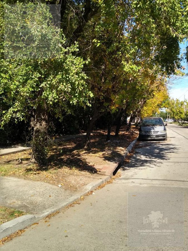 Imagen 12 de 13 de Terreno - Moron Sur