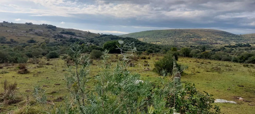 Campo En Carape Son 42 Hs 2293 M2