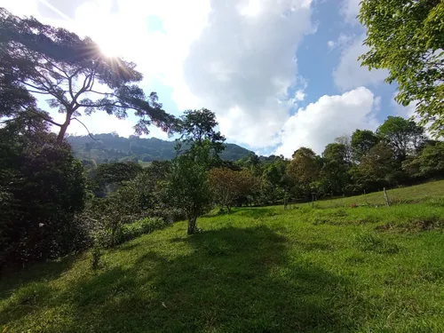 Deja Que El Campo Trabaje Para Ti : Finca En Quipile