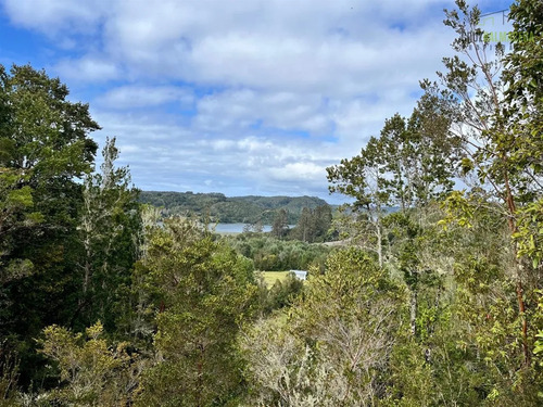 Campo En Venta En Quemchi