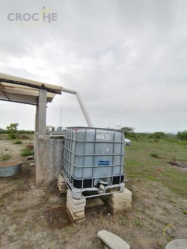 Imagen 5 de 8 de Terreno De 1.8 Hectáreas Con Producción De Limón En Tuzamapan, Coatepec, Veracruz