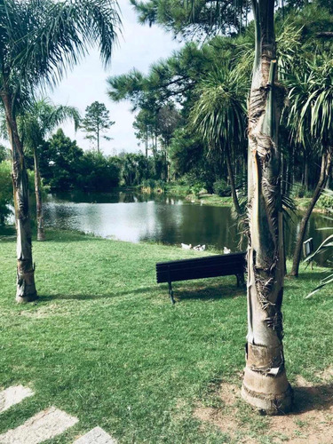 Apartamento En Haras Del Lago Con Renta - Id 521