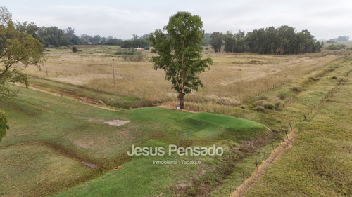 En Venta Terreno Lindero Golf Club Tapalque