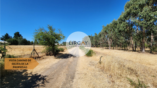 En Venta Terreno De 7 Hectáreas, Talca, Panguilemu.