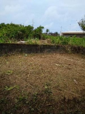 Imagem 3 de 13 de Casa De Terreno Inteiro Com 2 Quartos E Suíte - Itanhaém Sp