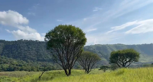 Últimas 10 Mz Finca Las Arrazolas Pueblo Nuevo Viñas/ixpaco