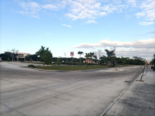 Imagen 23 de 30 de Terreno En Venta En Nortemerida
