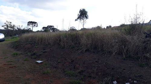 Imagem 4 de 10 de Terreno Na Chapada - Te0269