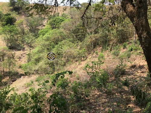 Chácara Á Venda Em Bueno Brandão - Ch00020 - 68676926