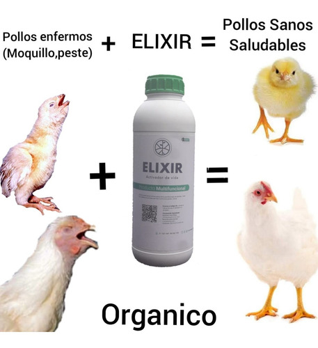 Elixir: Elimina Enfermedades Respiratorias En Pollos 1 Litro