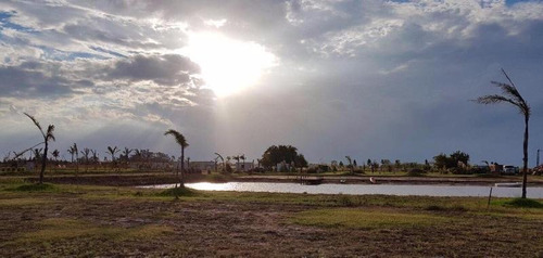 Imagen 5 de 13 de Lote En Venta - Campos De La Enriqueta