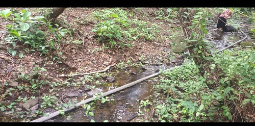 Imagen 11 de 30 de Se Vende Finca De 154 Manzanas
