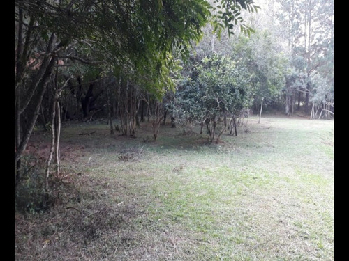 Chácara 5.000 M² - Morungava - Gravataí - Rs - 1916 - 32875112
