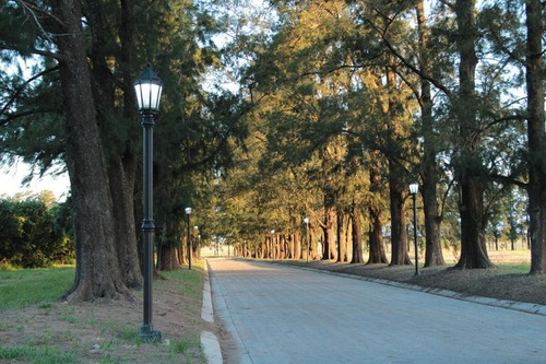 Imagen 5 de 18 de Barrio Privado - Fighiera