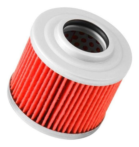 Imagen 1 de 5 de Filtro De Aceite K&n Bmw G650gs 650 2009 A 2016 Kn-151