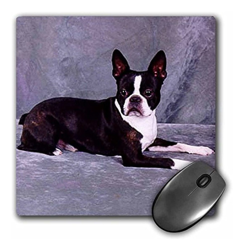 3drose Llc 8 x 8 x 0.25 inches Mouse Pad, Boston Terrier
