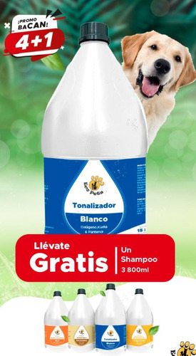 Promoción Shampoo Mascots - Galoneras Pro Groomer - 4 + 1