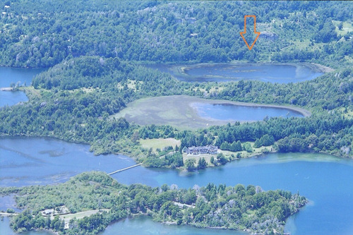 Imagen 1 de 14 de Venta En Bariloche Lote Sobre Costa Laguna Ezquerra Sector Lago Morenito Con Increíble Vista A Cerro López