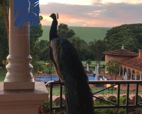 Imagem 1 de 1 de Fazenda - Fa00006 - 69946055