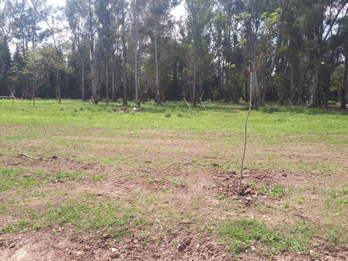 Imagen 2 de 5 de Terreno - Ingeniero Maschwitz
