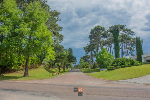 Casa En Punta Del Este, Rodeada De Arboles Y Jardines.