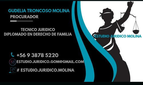 Asesoría Jurídica, Técnico Jurídico
