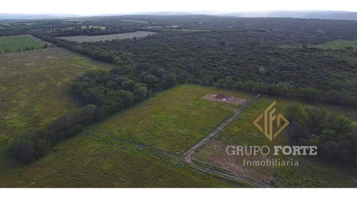 Imagen 26 de 29 de Lotes En Quillinzo