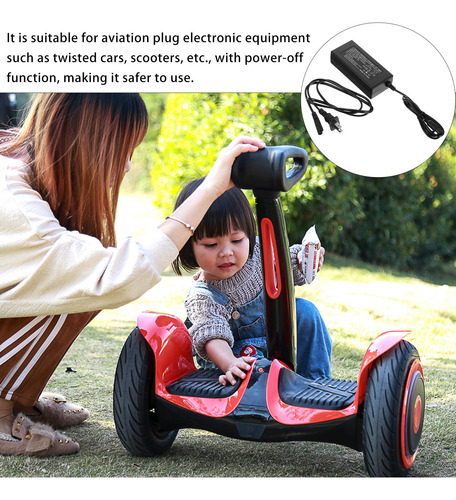 Adaptador De Repuesto De Litio Para Scooter Eléctrico De 2 R