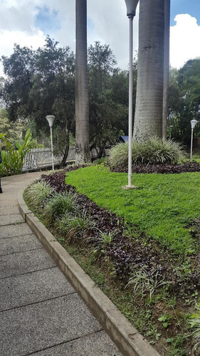 Imagen 16 de 18 de Vendo Ph 375m2 3h+s/3b+s/3pe Los Naranjos 8037