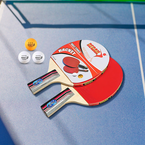 Kit De Paletas Ping Pong Mango Corto Con Pelotas